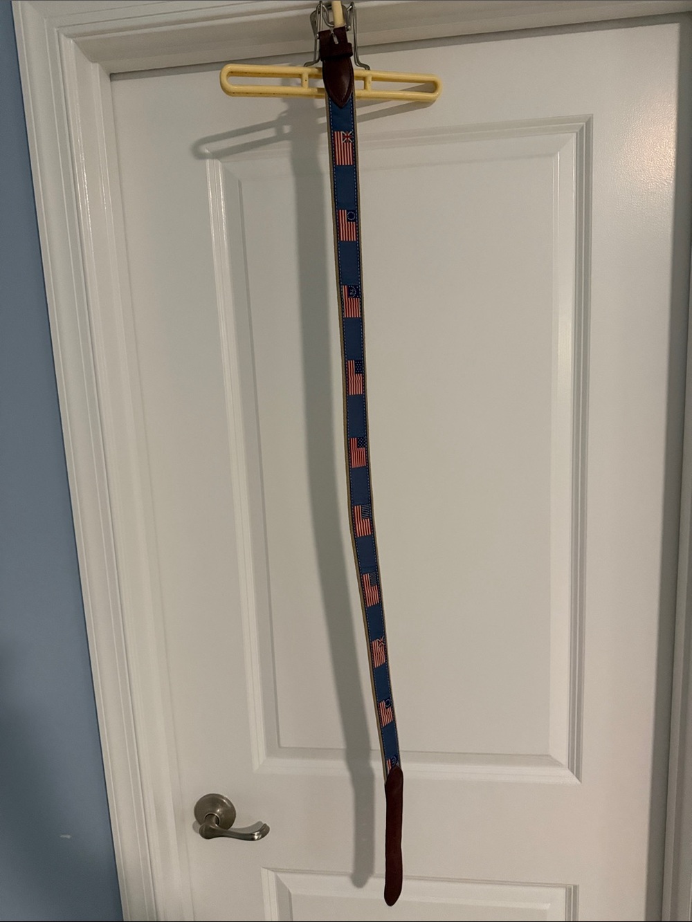Historical American Flags
Ribbon Club Belt - the belted cow.